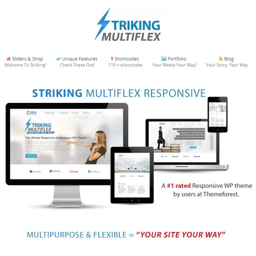 Striking MultiFlex &amp; Ecommerce Responsive WP Theme