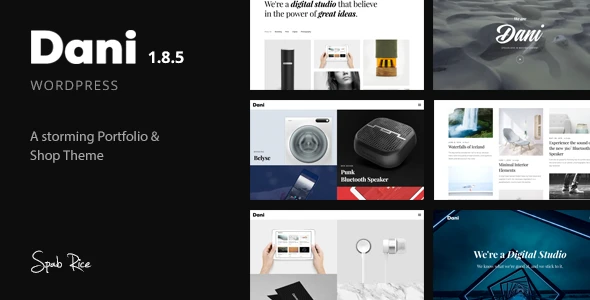 Dani – A Storming Portfolio &amp; Shop WordPress Theme